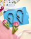 Set FL1226 Tulips