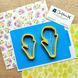 Set FL1226 Tulips