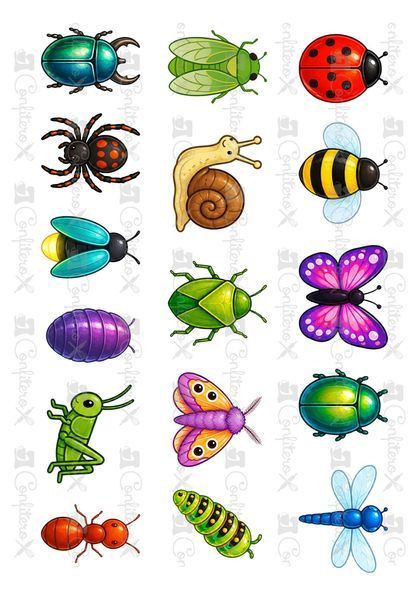 Mini Cutter Set N156 Insects Size M
