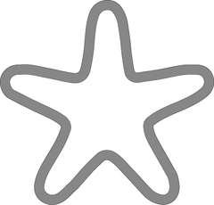 Форма Y4 морская звезда