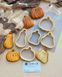 Set FL1373 Pumpkins